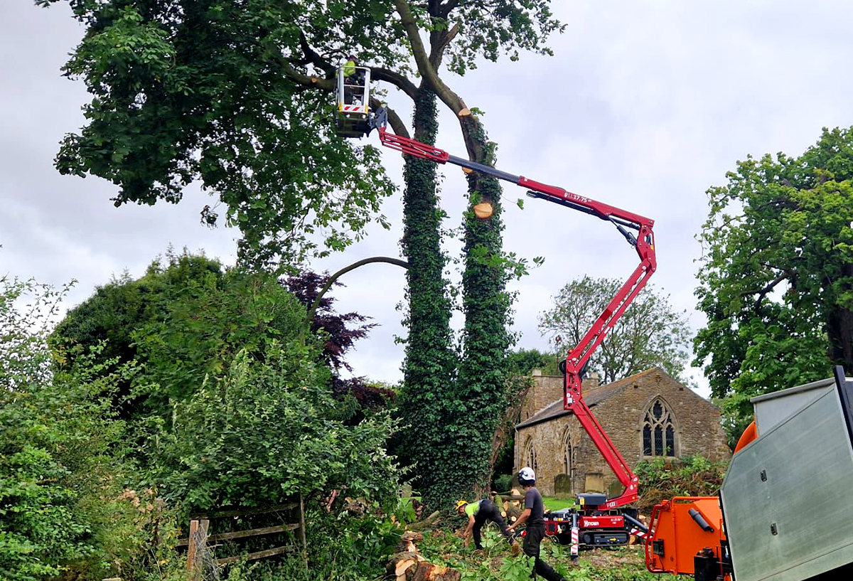 Climate change can’t stop tree surgeons with a Hinowa spider lift